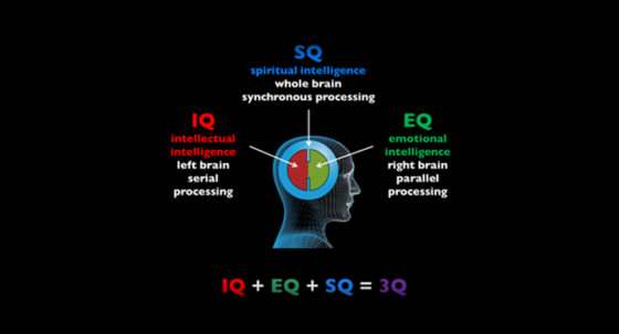 Elements of well-rounded person: IQ + EQ + PQ + SQ + AQ